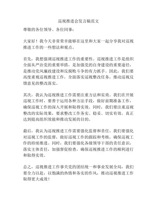 巡视推进会发言稿范文