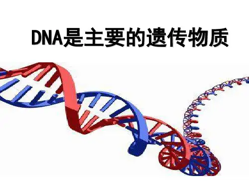 人教版高中生物必修2第3章第1节 DNA是主要的遗传物质(共16张PPT)