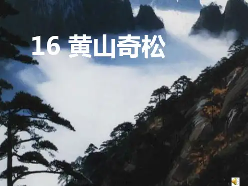 16-《黄山奇松》课件