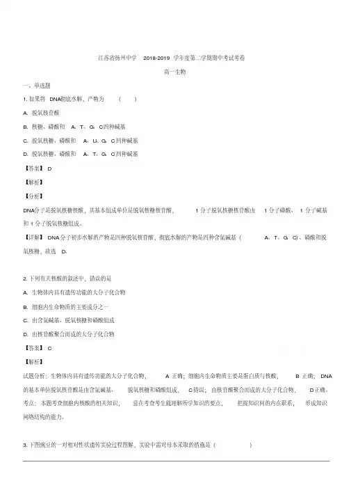 2018-2019学年高一下学期期中考试生物试题含解析(3)