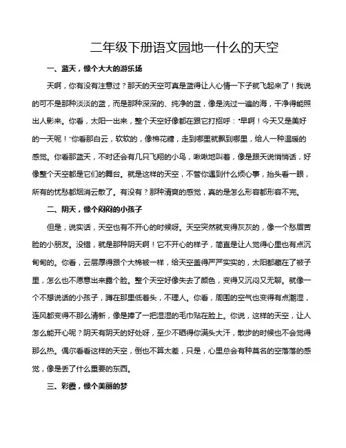 二年级下册语文园地一什么的天空