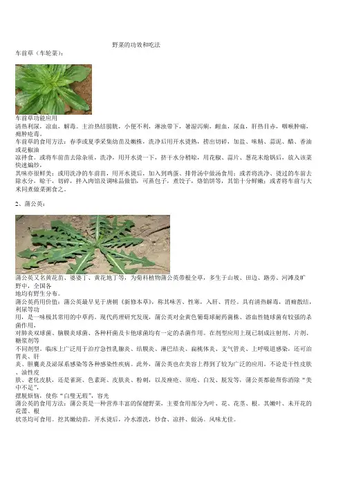 野菜的功效和吃法