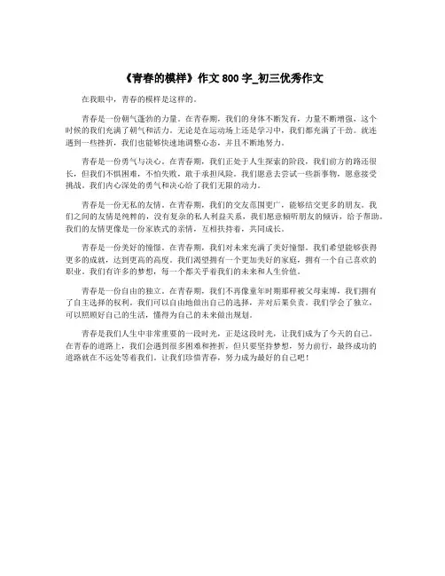 《青春的模样》作文800字_初三优秀作文