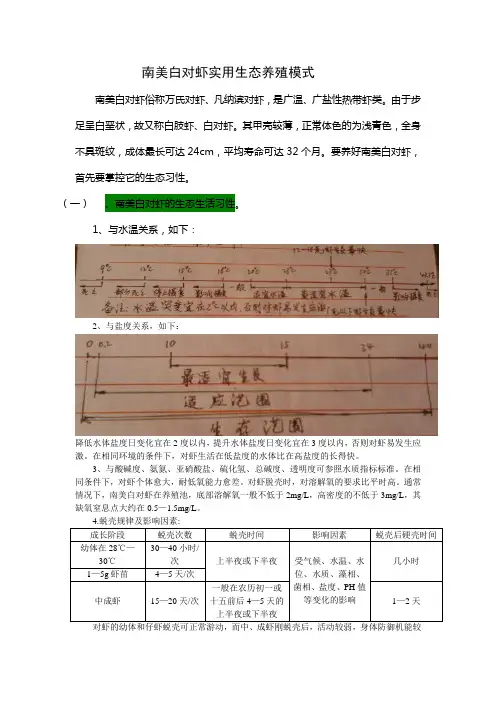 对虾实用生态养殖模式