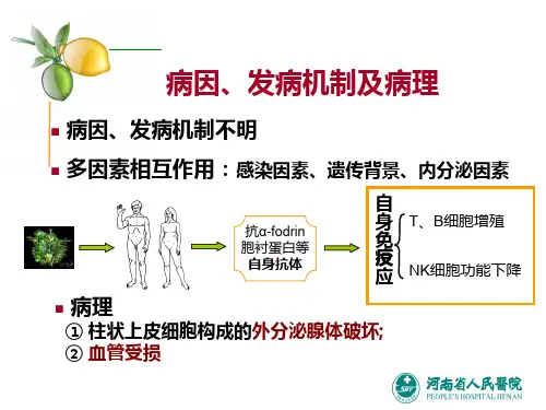 炎症相关因子NF