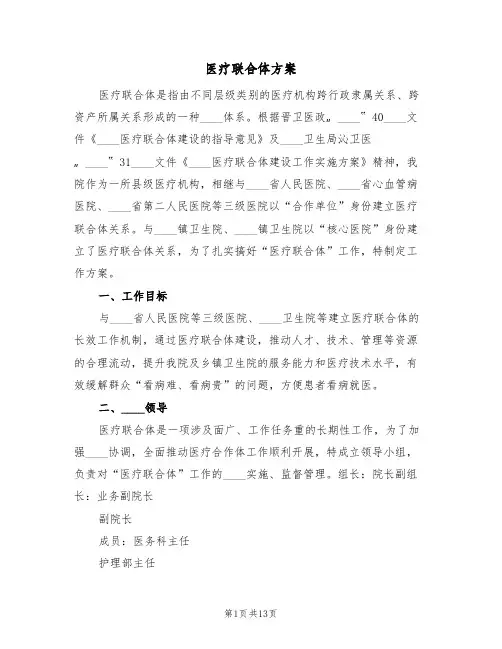 医疗联合体方案（三篇）