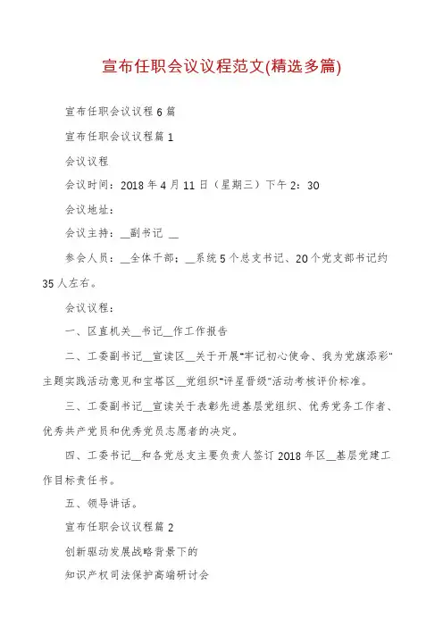 宣布任职会议议程范文(精选多篇)