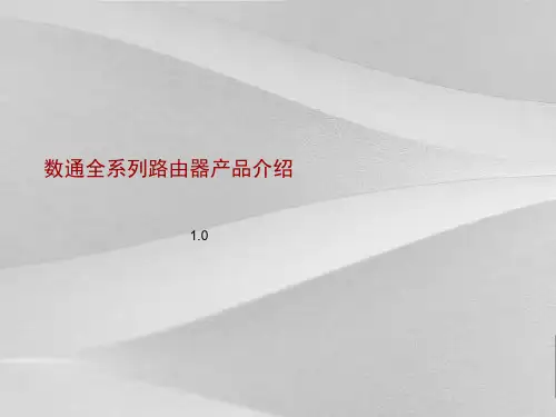 华为全系列路由器产品详述