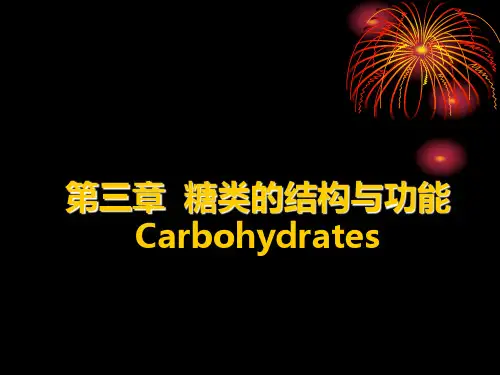 第三章  糖类的结构与功能1