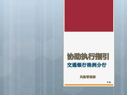 协助执行指引2013