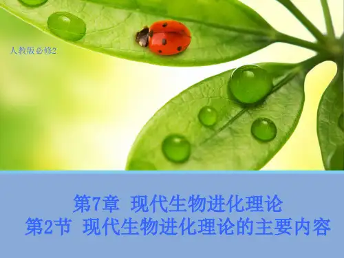 【生物】7.2  现代生物进化理论的主要内容 课件2(人教版必修2)