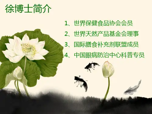 靓眼视康4