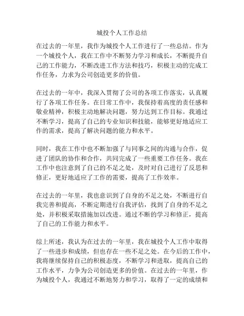 城投个人工作总结