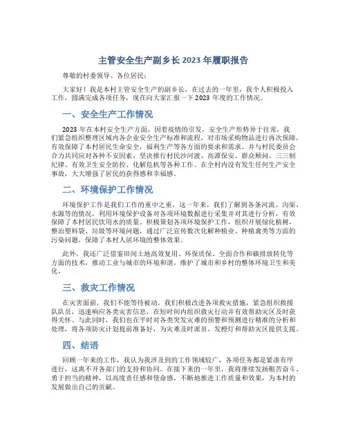 主管安全生产副乡长2023年履职报告