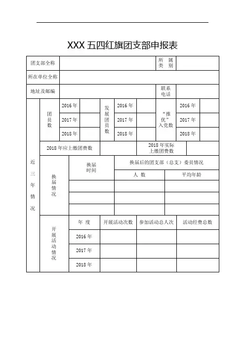 五四红旗团支部申报表模板