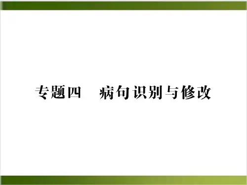 中考语文专项复习课件专题四 病句识别与修改精品PPT(共41张PPT)