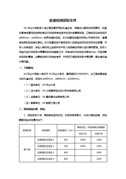 桩基检测招标文件