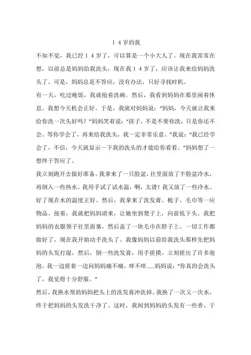 14岁的我-作文