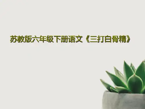 苏教版六年级下册语文《三打白骨精》PPT文档共34页