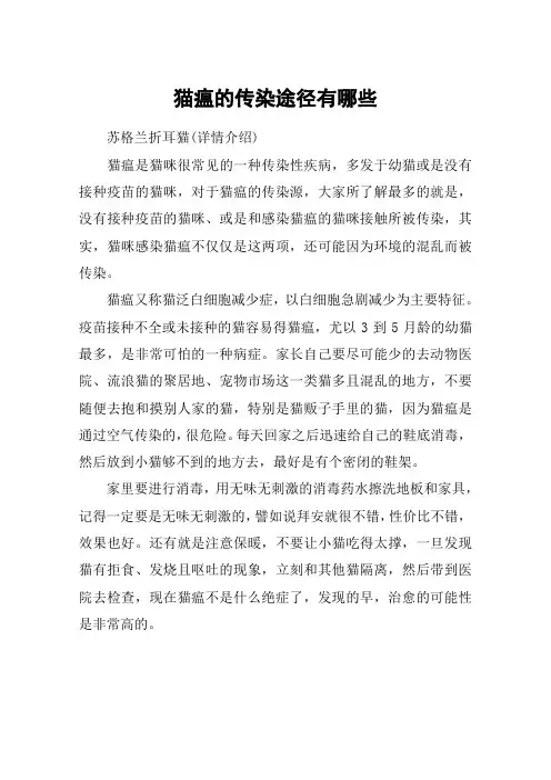猫瘟的传染途径有哪些