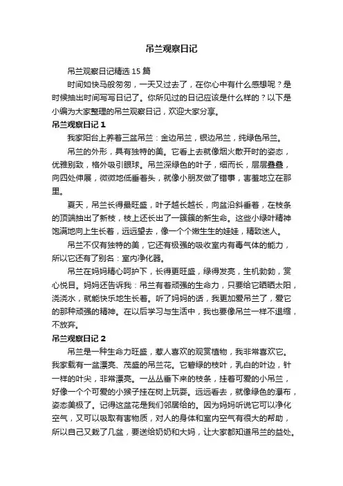 吊兰观察日记精选15篇