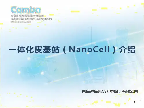 一体化皮基站(NanoCell)介绍0904