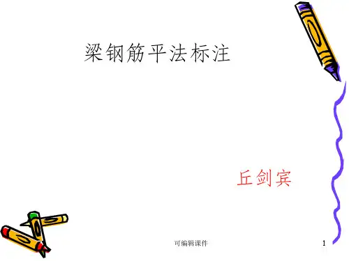 梁钢筋平法标注图解PPT课件