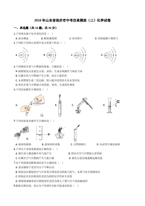 2018年山东省临沂市中考仿真模拟(三)化学试卷及答案