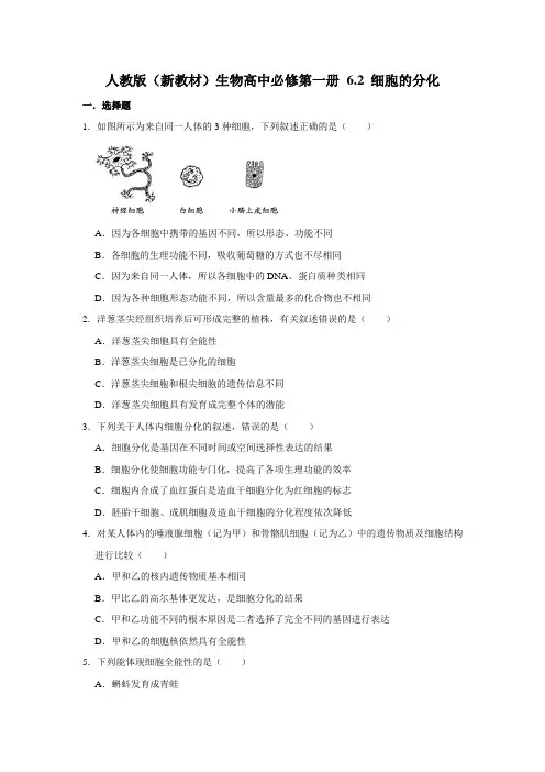 人教版(2019)高中生物必修1《分子与细胞》 第6章 6.2 细胞的分化 同步练习