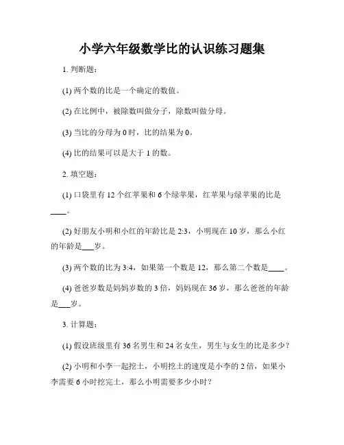 小学六年级数学比的认识练习题集