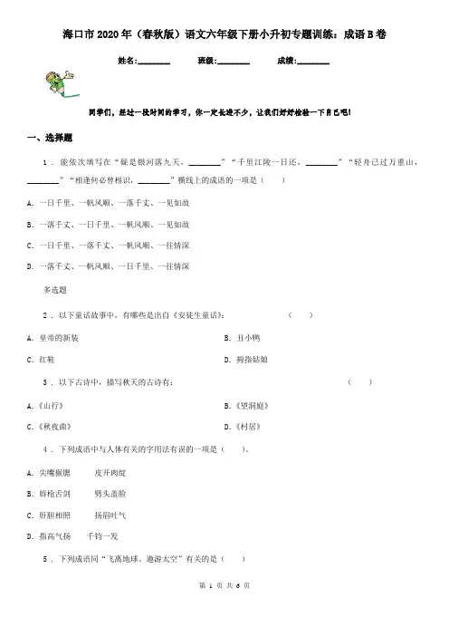 海口市2020年(春秋版)语文六年级下册小升初专题训练：成语B卷