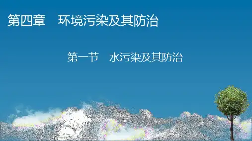 第节 水污染及其防治PPT 湘教版高中地理选修环境保PPT