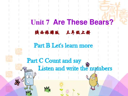 陕旅版三年级上册英语Unit 7 Are These Bears 名师授课课件 (2)