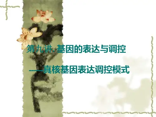 分子生物学第九讲核生物基因表达调控