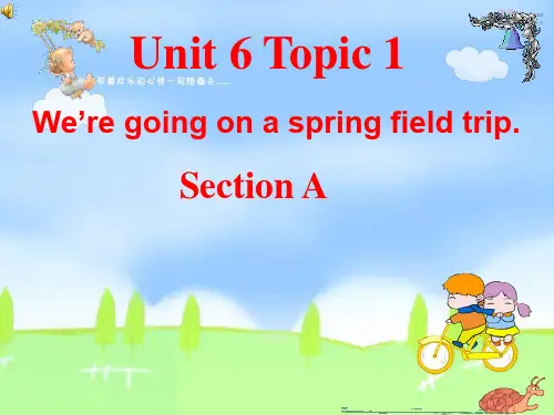 八年级英语下册 Unit6Topic1We’re going on a spring field trip SectionA课件 仁爱版