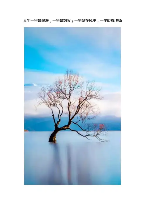 人生一半是浪漫，一半是烟火；一半站在风里，一半轻舞飞扬