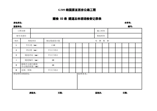 隧道现场检查记录表