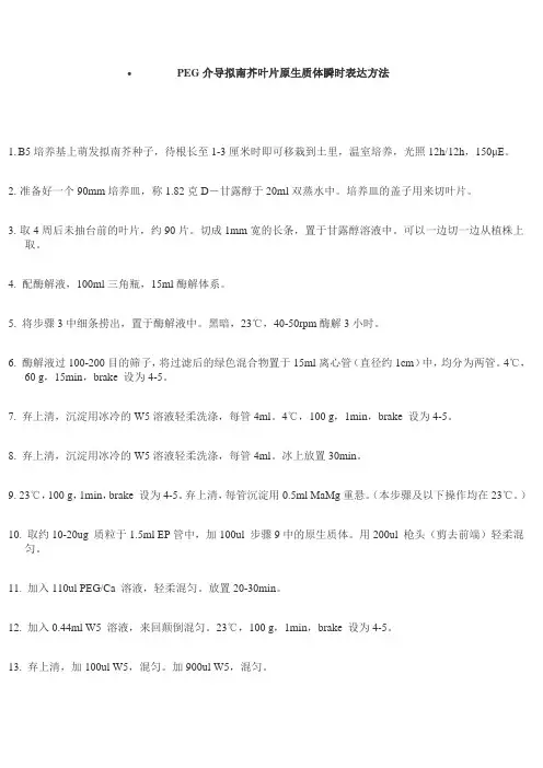 PEG介导拟南芥叶片原生质体瞬时表达方法