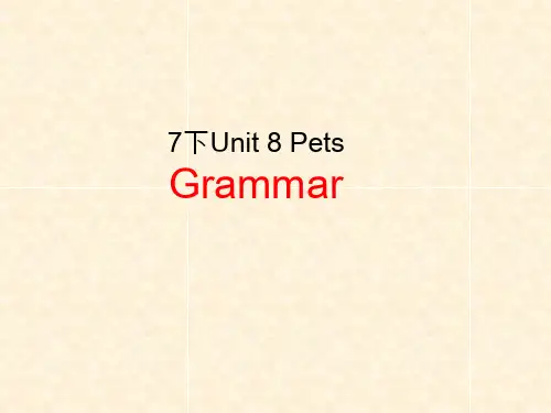 牛津译林版七年级下册英语Unit 8 Pets Grammar课件