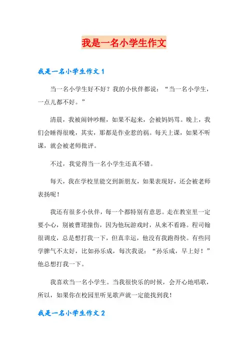 我是一名小学生作文