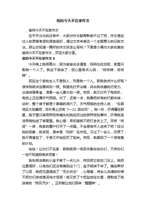 爸妈今天不在家作文