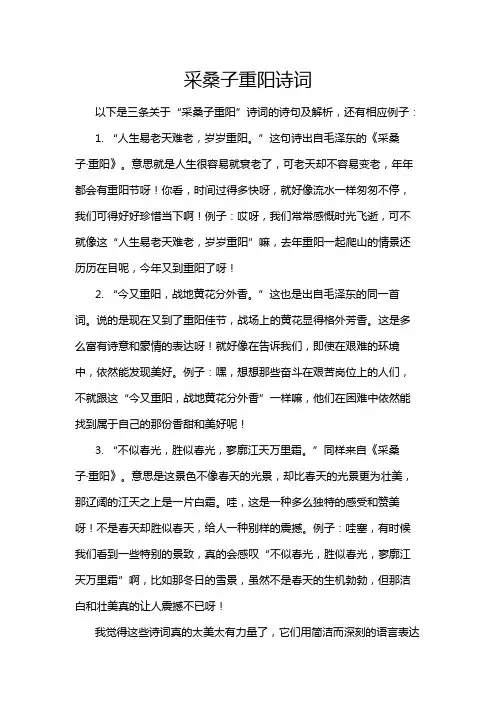 采桑子重阳诗词