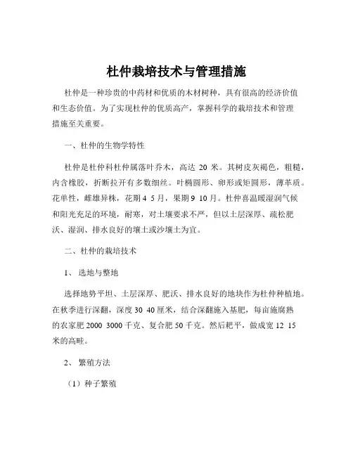 杜仲栽培技术与管理措施