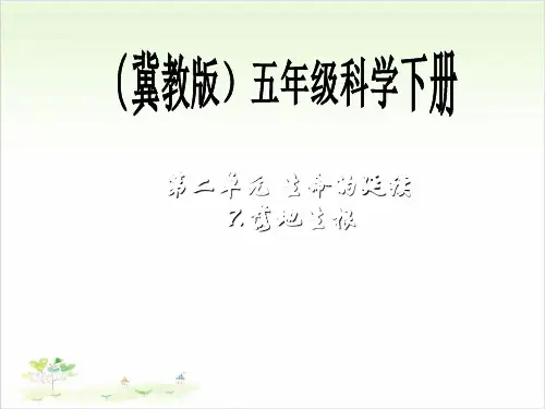 五年级下册科学-落地生根-冀教版(共20张)-PPT课堂课件
