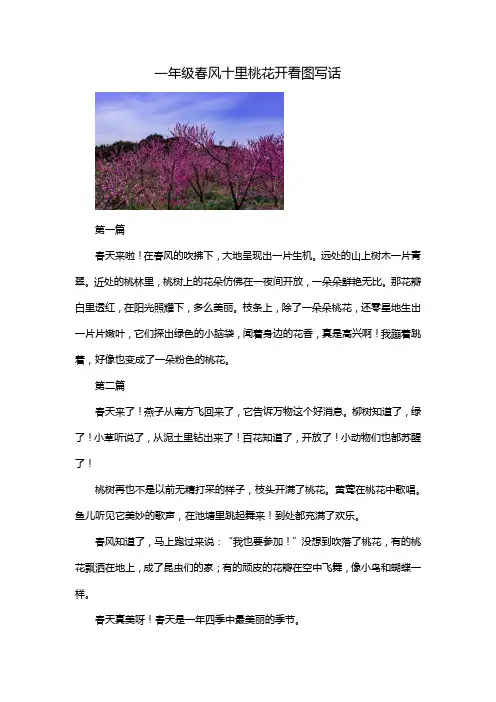一年级春风十里桃花开看图写话