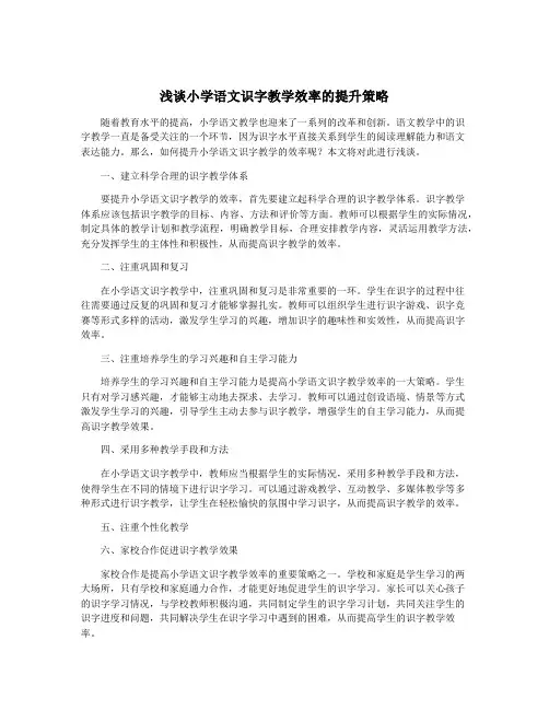 浅谈小学语文识字教学效率的提升策略