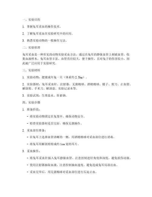 兔耳采血实验报告