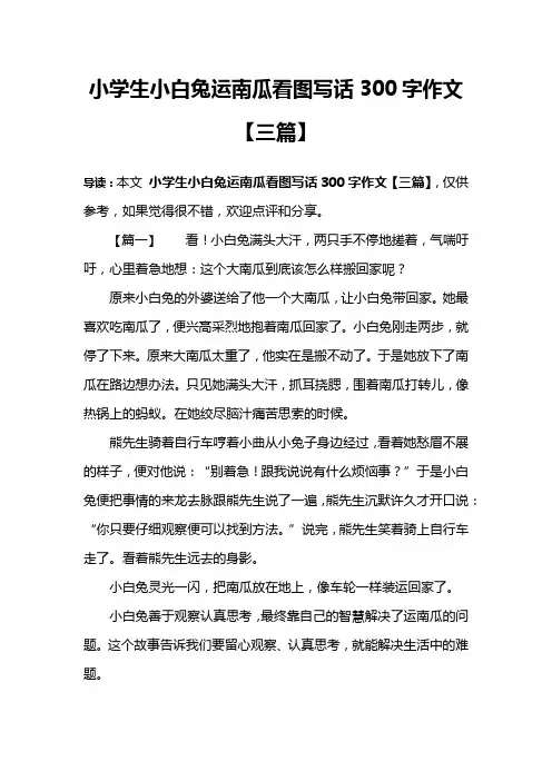 小学生小白兔运南瓜看图写话300字作文【三篇】