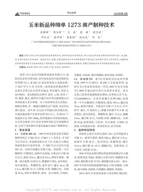 玉米新品种绵单1273 高产制种技术