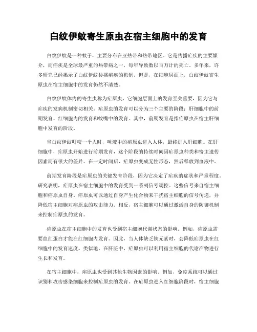 白纹伊蚊寄生原虫在宿主细胞中的发育